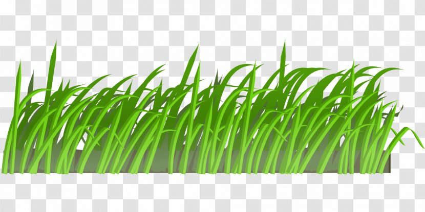 Lawn Mower Cartoon Clip Art - Texture - Decorative Bushes Transparent PNG