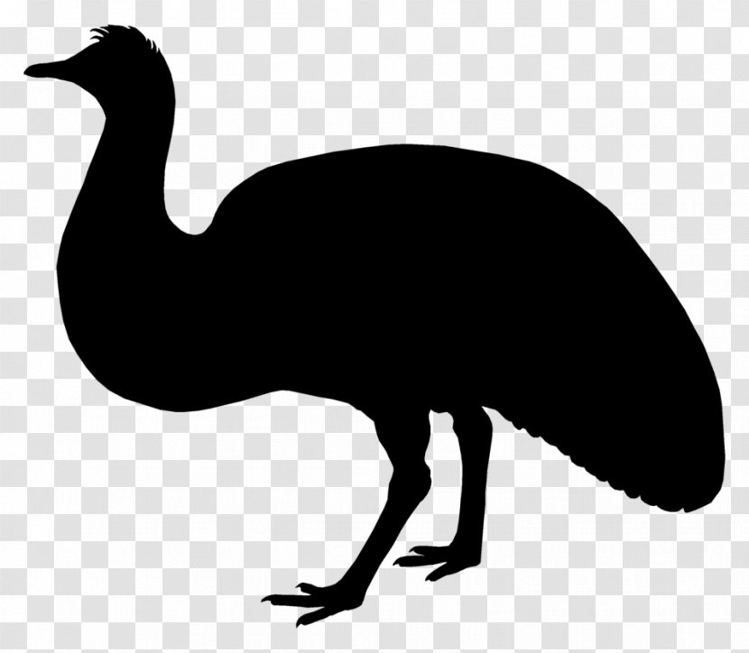 Emu Common Ostrich Galliformes Fauna Clip Art - Wing - Silhouette Transparent PNG