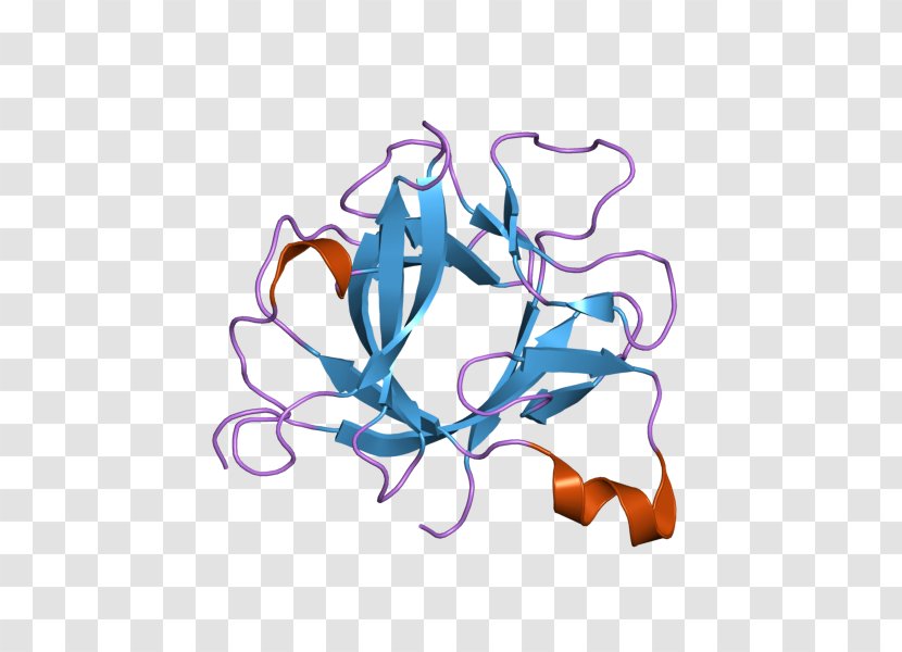 IL1B Interleukin-1 Family IL1A Cytokine - Interleukin 5 - 8 Transparent PNG