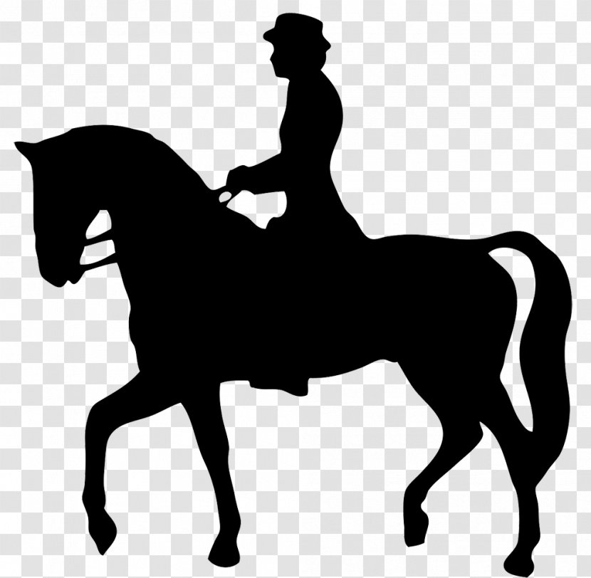 Horse Equestrianism English Riding Silhouette Clip Art - Hunt Seat - Pleasure Cliparts Transparent PNG