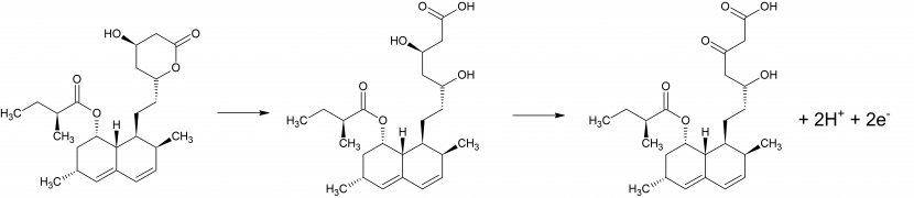 Simvastatin Beta Hydroxy Acid Monochrome Alpha - Heart - Mechanism Transparent PNG