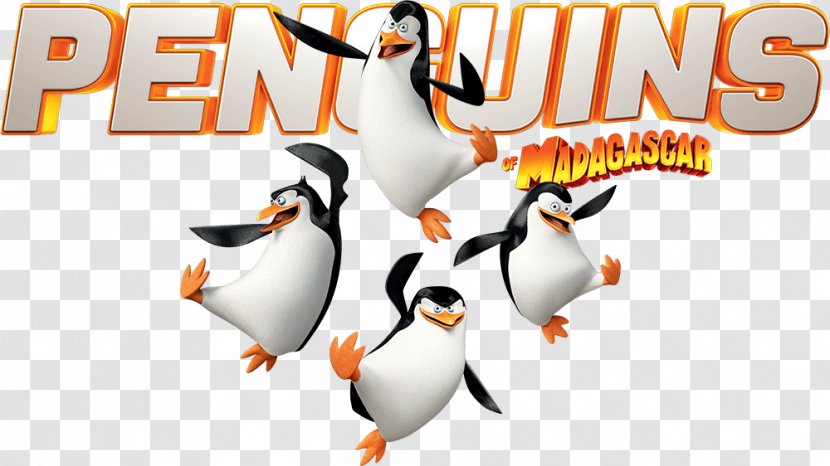 Penguin Skipper Kowalski Madagascar Film Transparent PNG