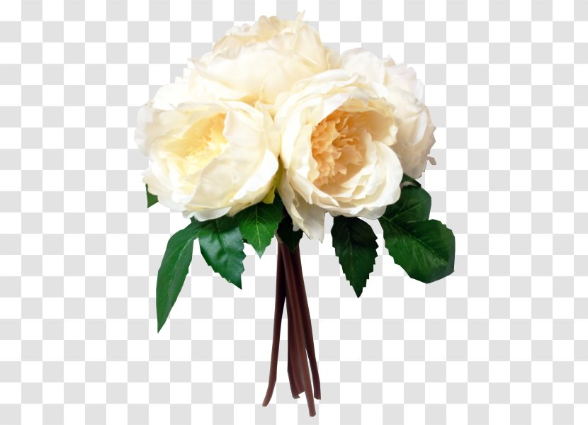 Garden Roses Flower Bouquet Peony Floral Design - White Bark Transparent PNG