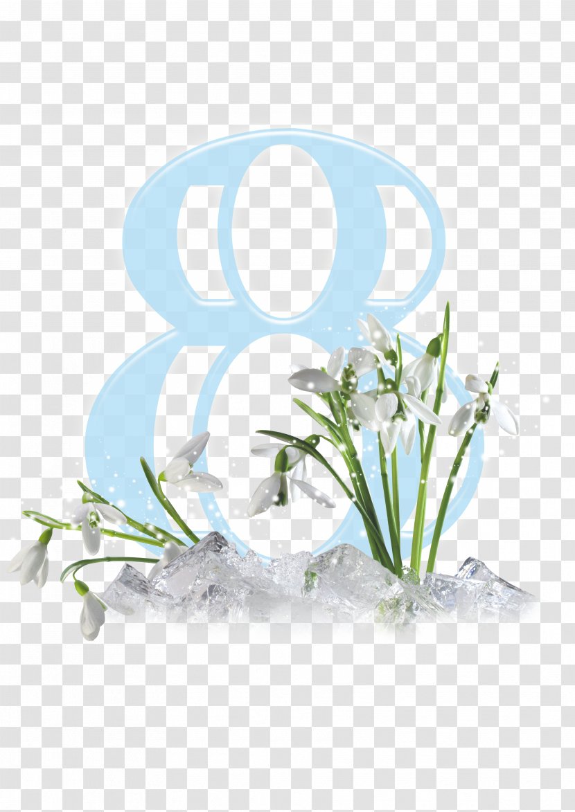 8 March International Women's Day Floral Design Clip Art - Herb - Flower Transparent PNG