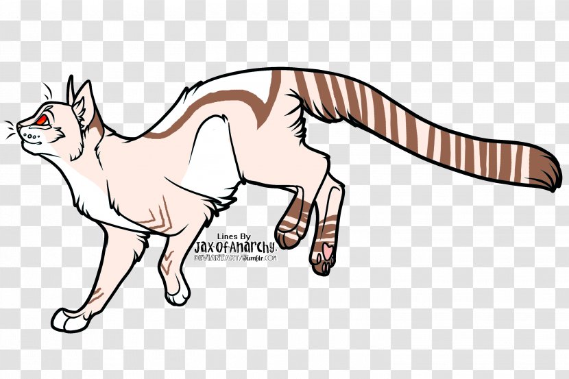 Whiskers Wildcat Red Fox Line Art - Carnivoran - Cat Transparent PNG