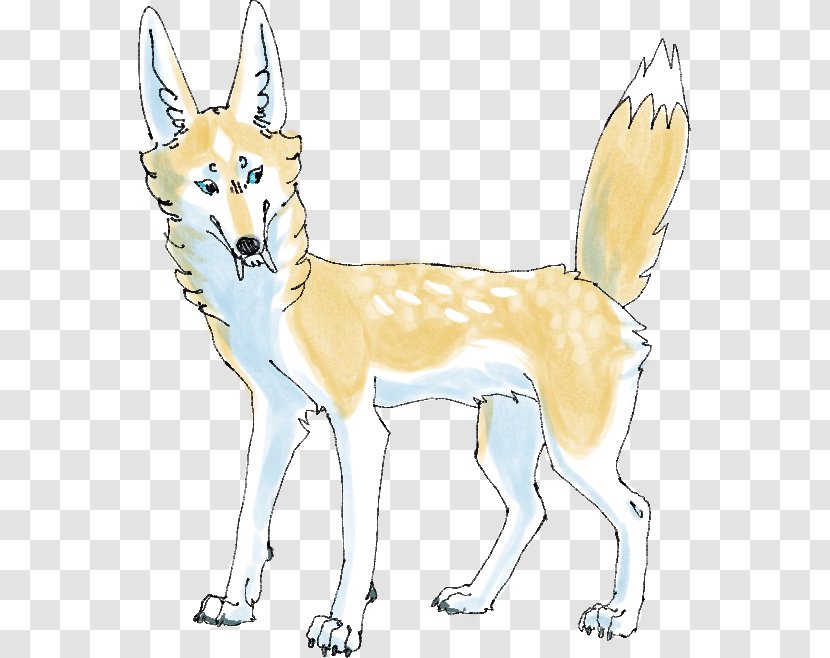 Czechoslovakian Wolfdog Dingo Dog Breed Red Fox - Carnivoran - Underdog Day Transparent PNG