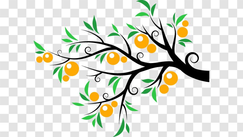 Orange Fruit Tree Transparent PNG