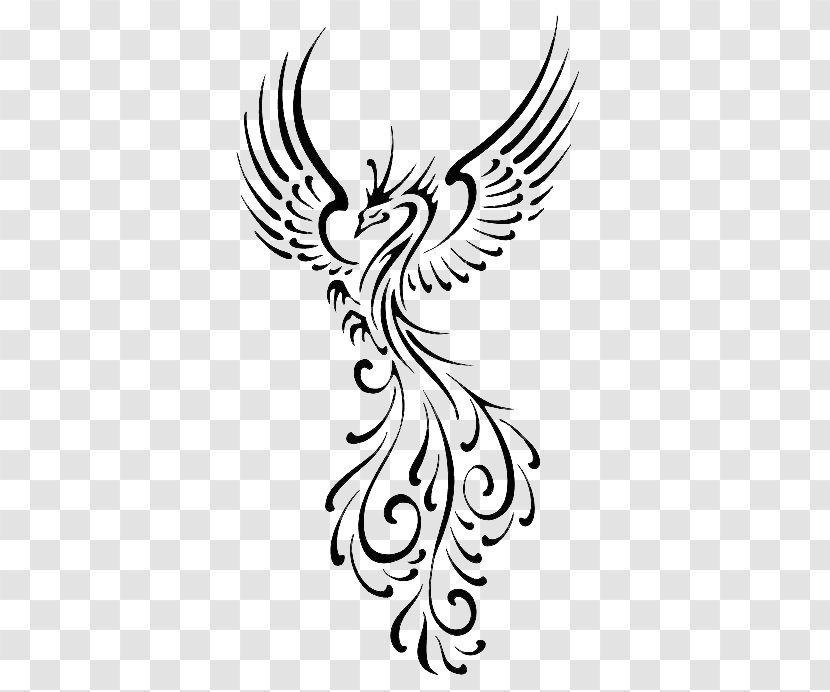 Drawing Line Art Phoenix - Beak Transparent PNG