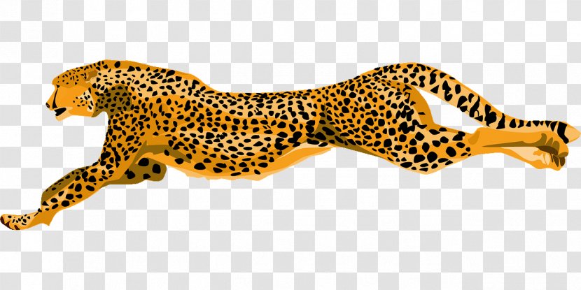 Cheetah Leopard Felidae Clip Art Cat - Animal Figure Transparent PNG