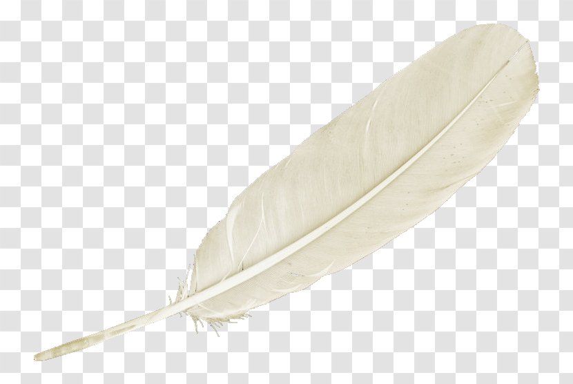 Feather U767du8272u7fbdu6bdb Download - White Feathers Transparent PNG