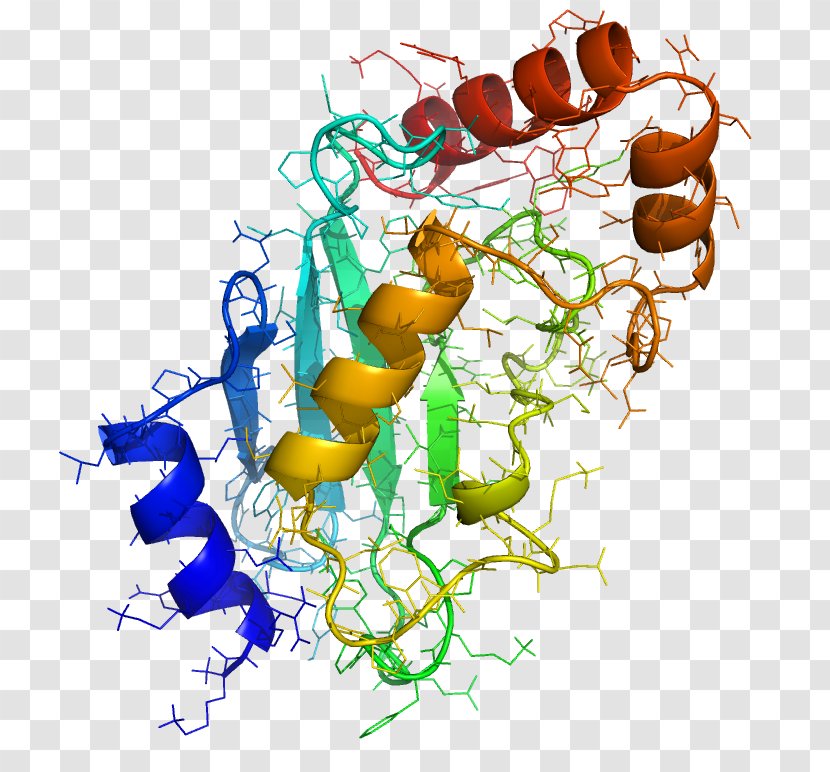 Ubiquitin-conjugating Enzyme Protein Post-translational Modification - Utx - Histone Transparent PNG