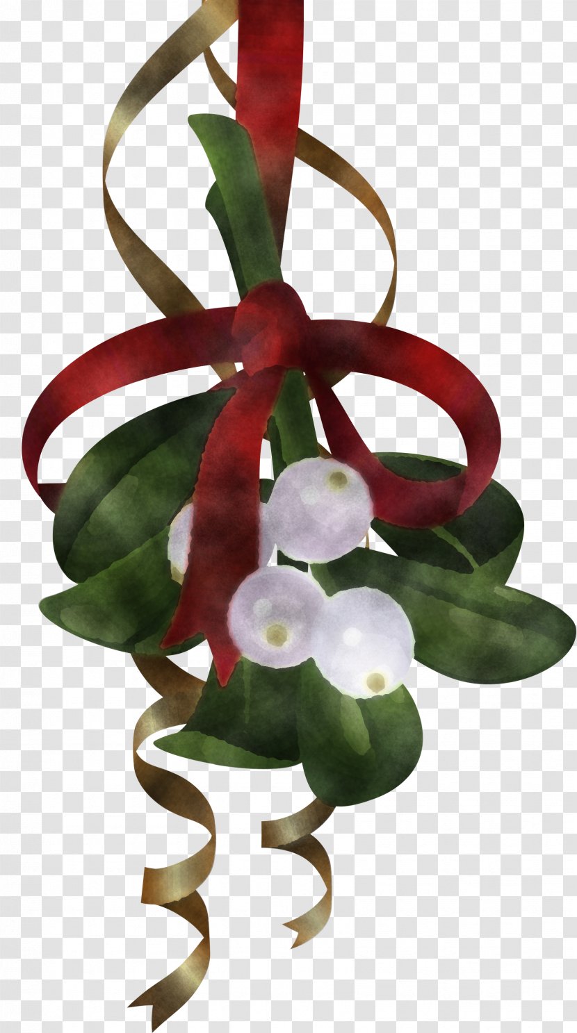 Flower Plant Anthurium Transparent PNG