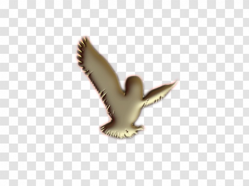 Beak Fauna - Bird - Gold Dove Transparent PNG