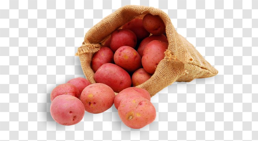 Potato Solanum Tuberosum Natural Foods - Silhouette - Paprikas Krumpli Transparent PNG