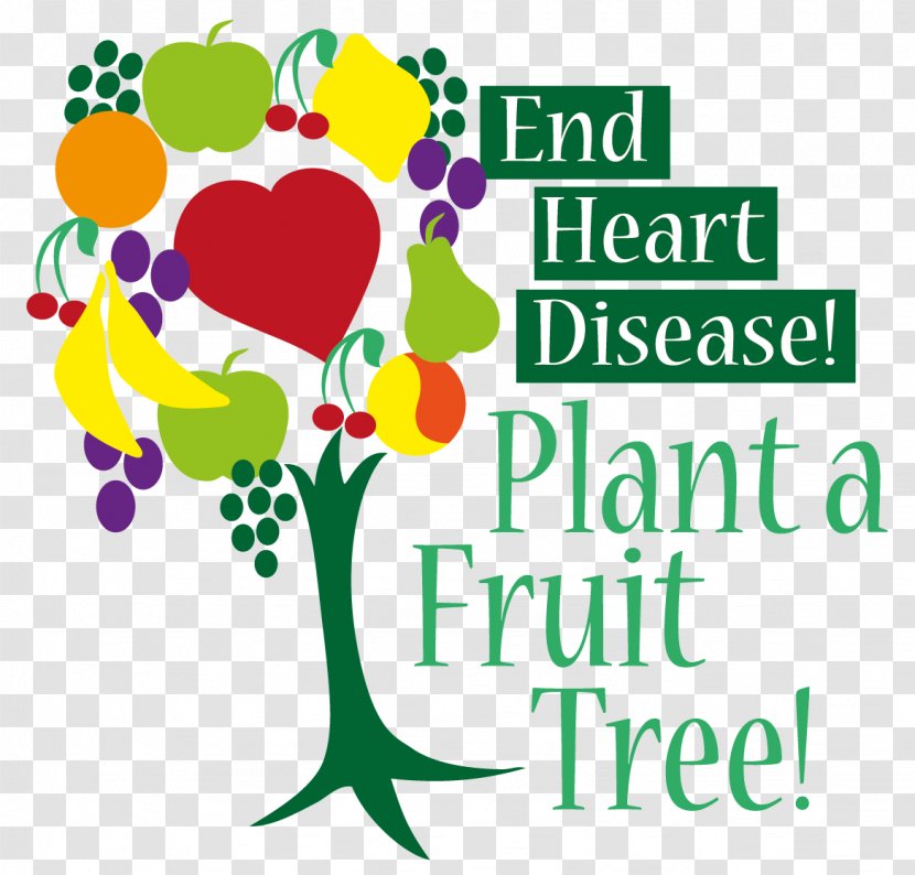 Fruit Tree Cardiovascular Disease Food - Heart Transparent PNG