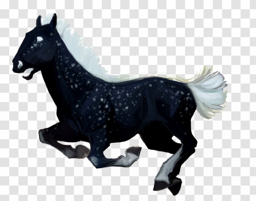 Stallion Mustang Mare Halter Pack Animal - Stars Sky Transparent PNG