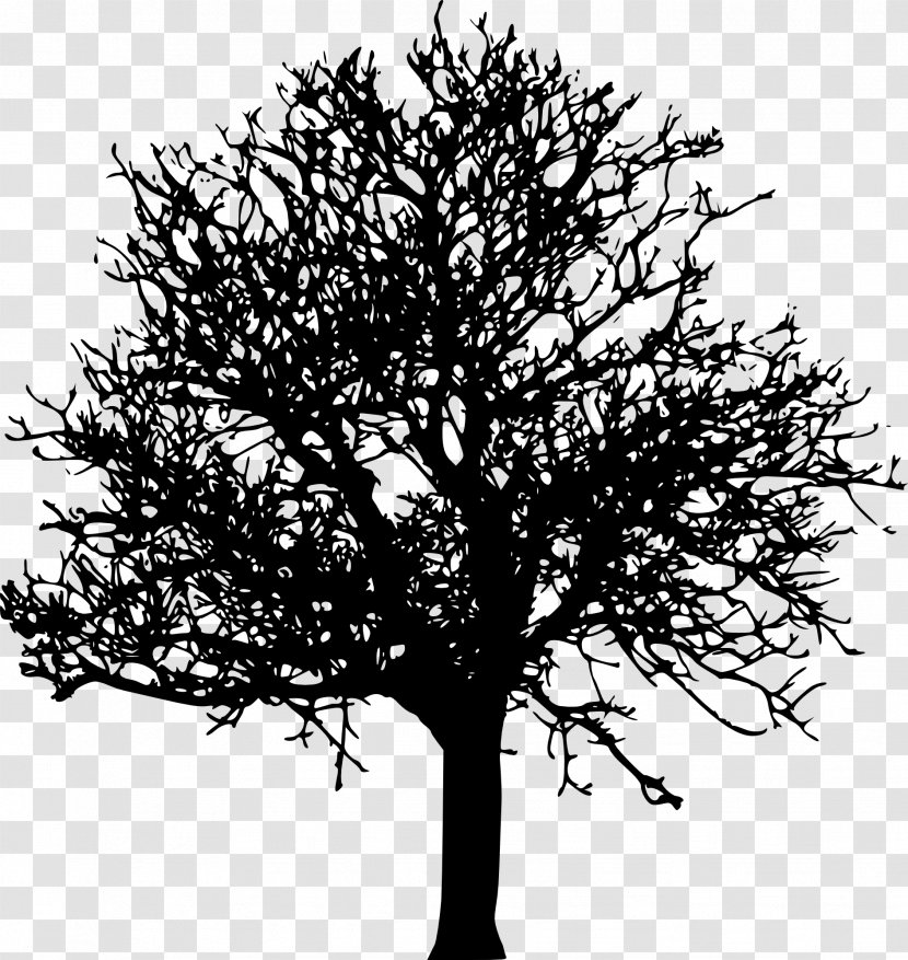 Tree Desktop Wallpaper Clip Art - Monochrome Photography - Transparent Transparent PNG