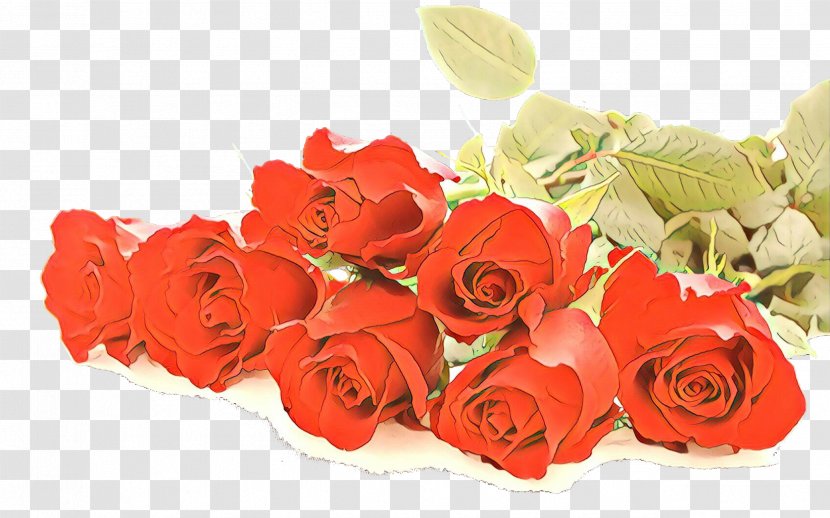 Background Family Day - Beach Rose - Perennial Plant Hybrid Tea Transparent PNG