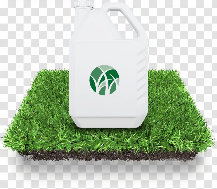 Lawn Artificial Turf Sod - Plant Mockup Transparent PNG