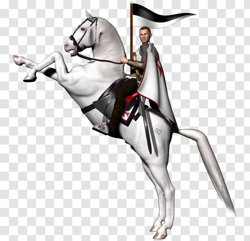 Arabian Horse Rearing Knights Templar Clip Art - Fictional Character - Horses Pictures Transparent PNG