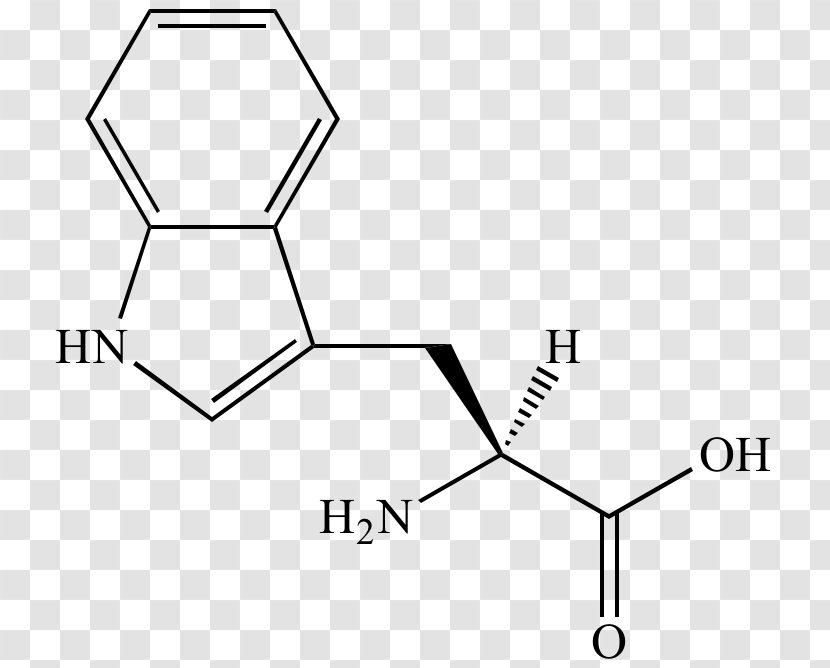 Phenylalanine Amino Acid Amine Organic Chemistry - Black And White Transparent PNG