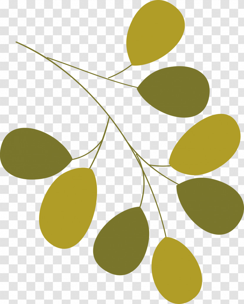 Plant Stem Leaf Branch Fruit Line Transparent PNG