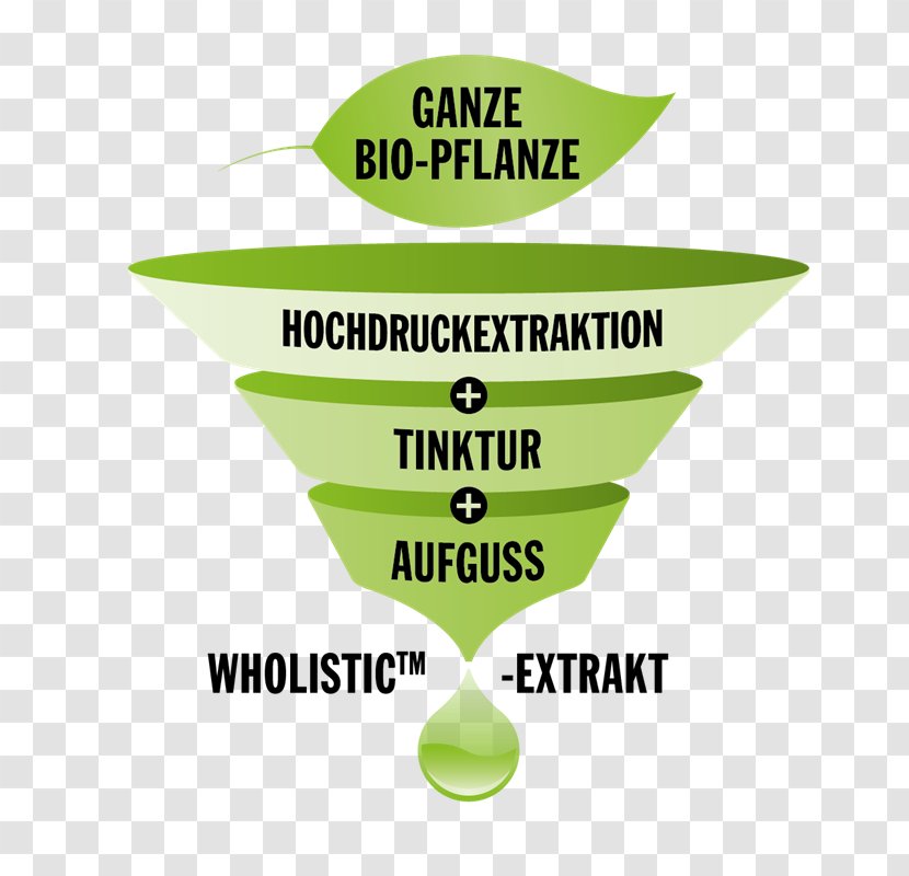 Logo Extraction Dietary Supplement Product Font - Green - Tincture Transparent PNG