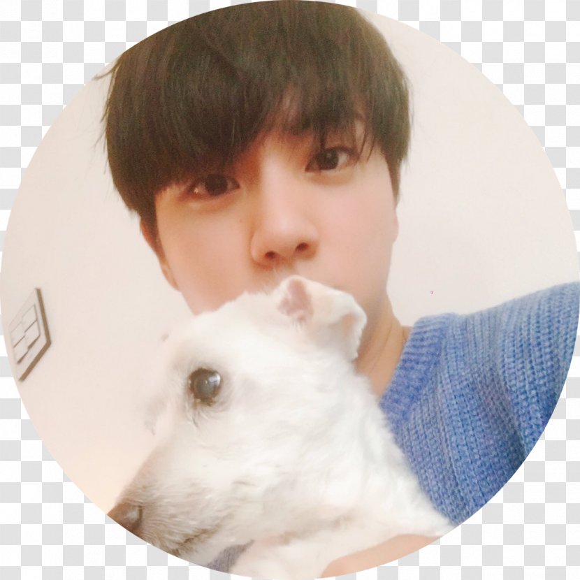 BTS K-pop We Are Bulletproof Pt.2 Puppy Korean Jindo - Eyelash - Bts Icon Transparent PNG