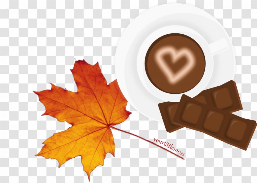 Hot Chocolate Internet NaTemat.pl - Leaf - Czekolada Transparent PNG