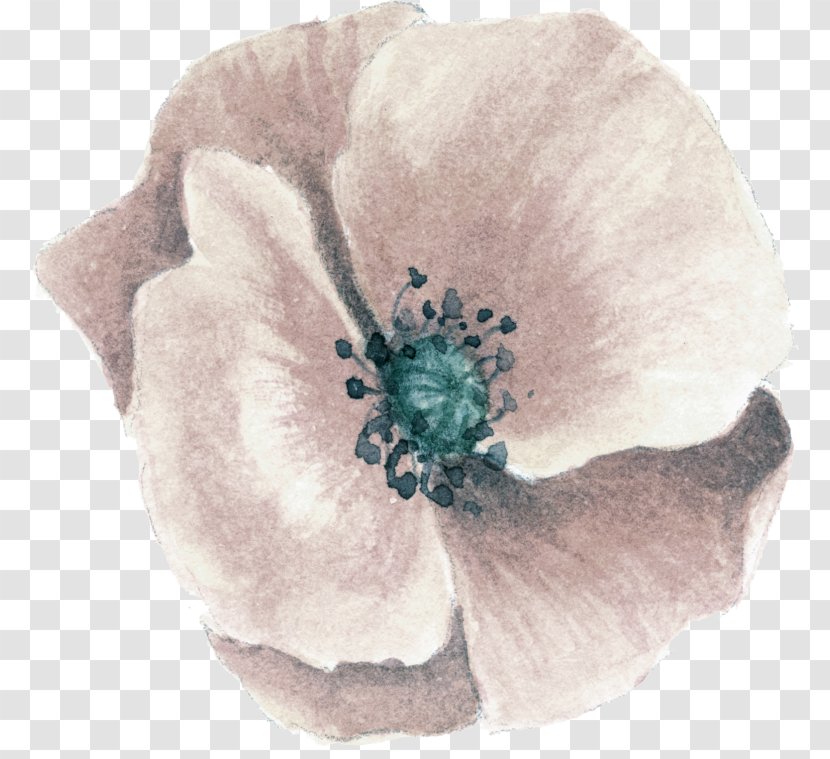 Petal Flower - Designer Transparent PNG