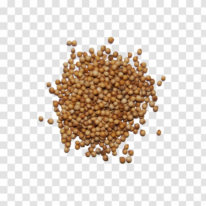 Indian Cuisine Seed Spice Herb - Grain Transparent PNG