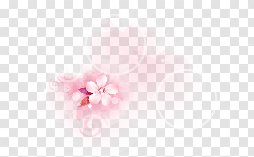 Petal Desktop Wallpaper Cherry Blossom Close-up - Simple Hand-painted Flowers Circle Transparent PNG