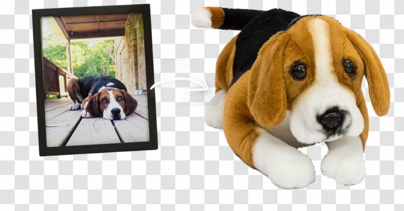 Beagle Treeing Walker Coonhound English Foxhound Harrier Finnish Hound - Stuffed Animal Transparent PNG