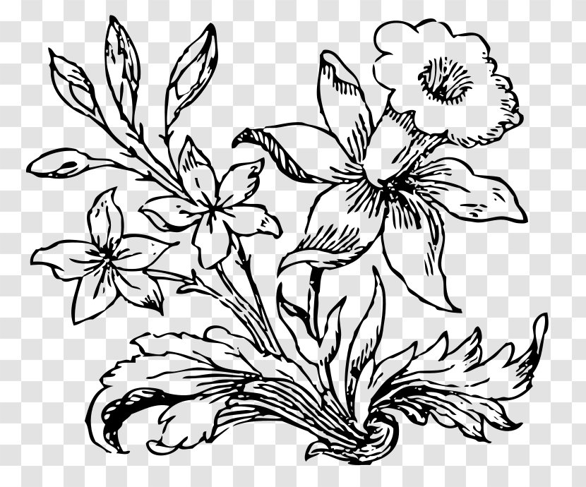 Flower Drawing Clip Art - Black And White - Little Transparent PNG