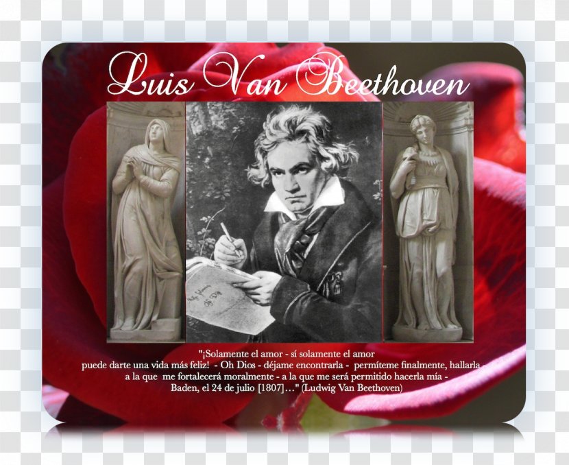 San Pietro In Vincoli Brand Ludwig Van Beethoven Transparent PNG