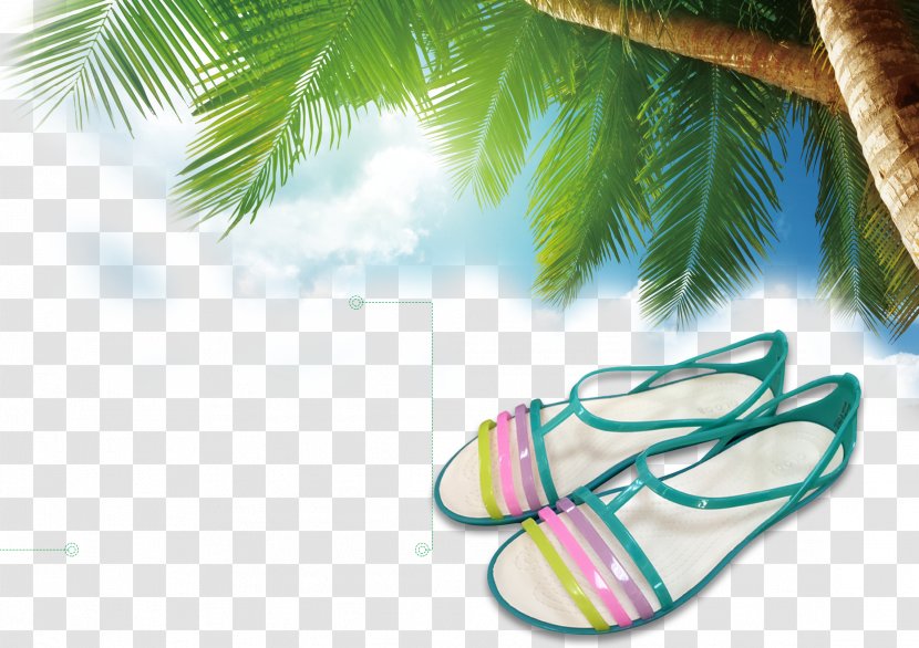 La Digue Seychelles International Airport Curieuse Island Anse Lazio Grande Soeur - Resort - Women's Singles Sandals Transparent PNG