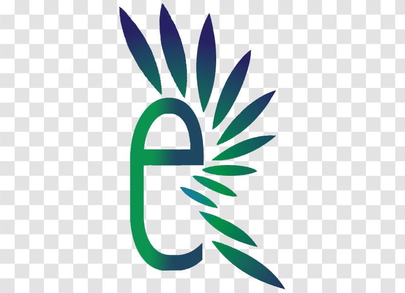 Leaf Drumstick Tree Logo Food Radhe Exports Transparent PNG