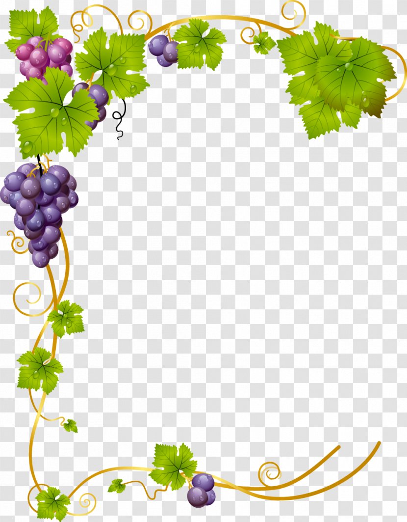 Common Grape Vine Wine - Vitis - Brown Frame Transparent PNG