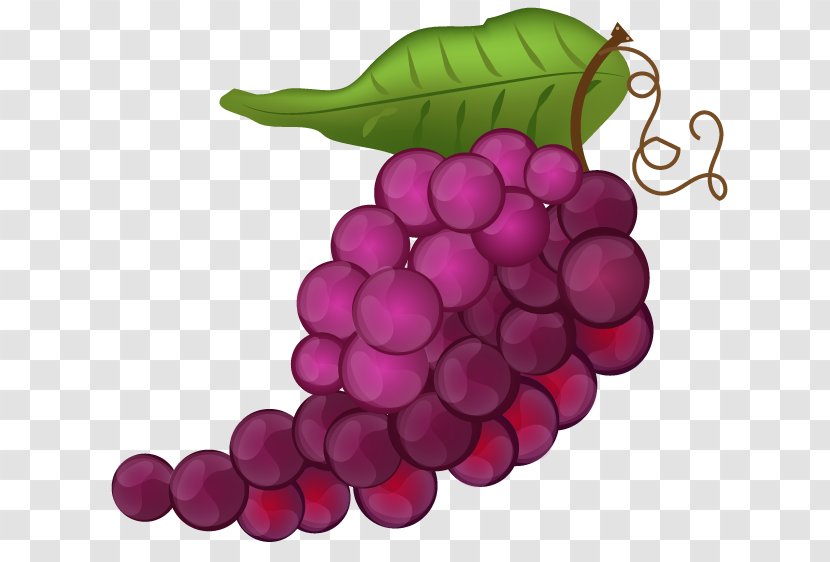 Grape Seed Extract Seedless Fruit - Grapevine Family Transparent PNG