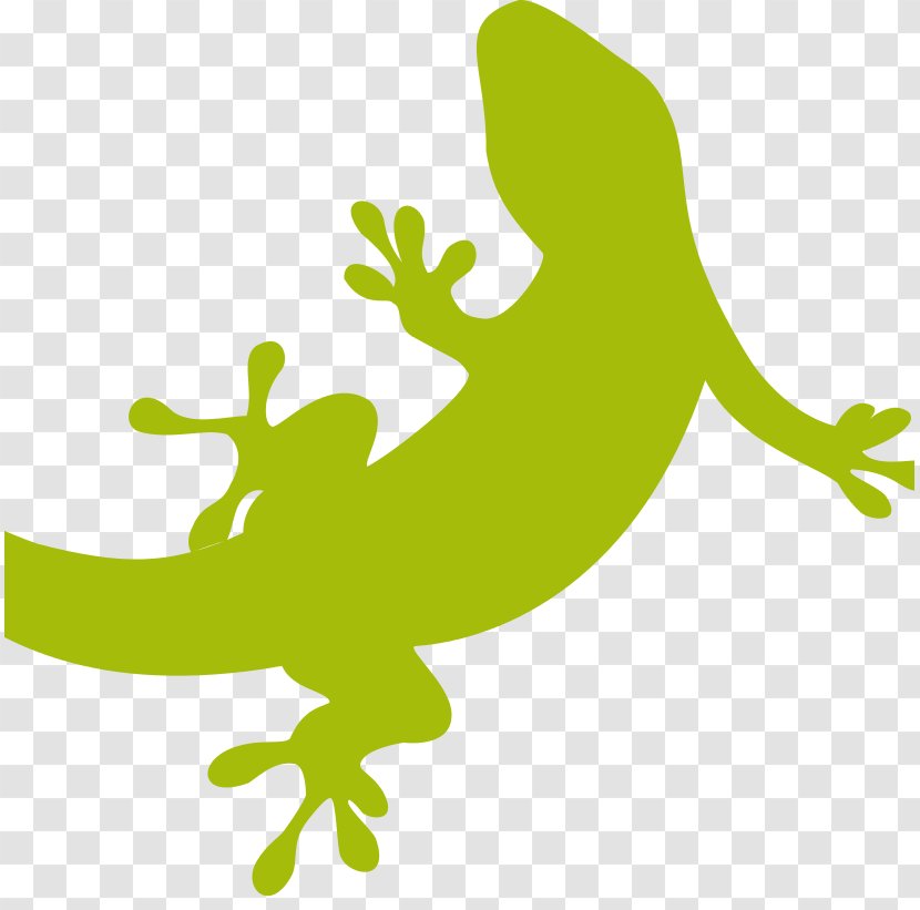 Lizard Gekkota Gecko Reptile Cecak - Amphibian Transparent PNG
