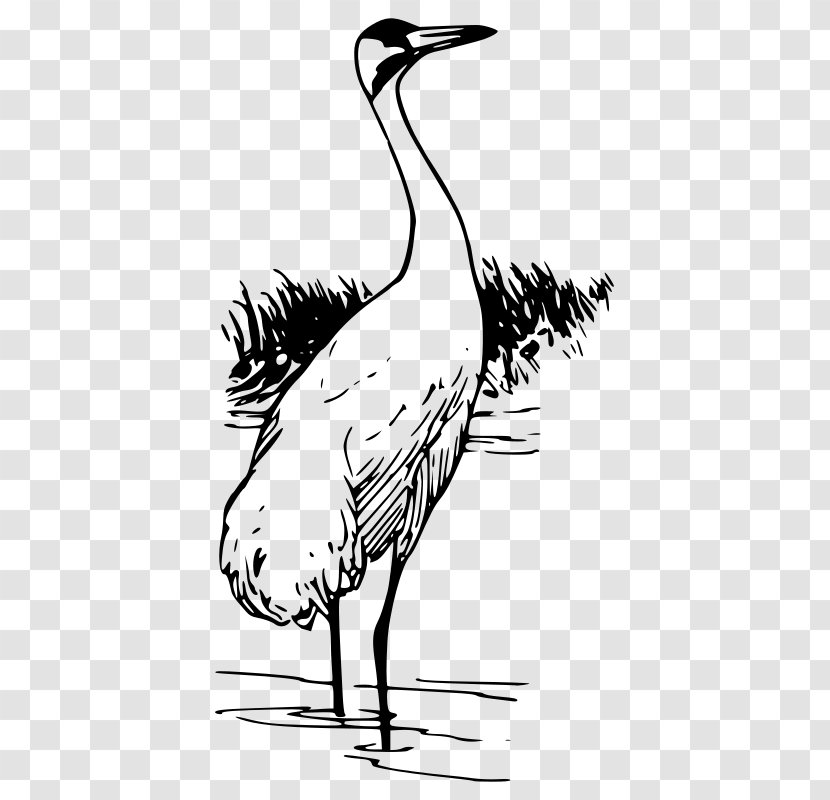 Whooping Crane Bird Clip Art - Monochrome - Beak Transparent PNG