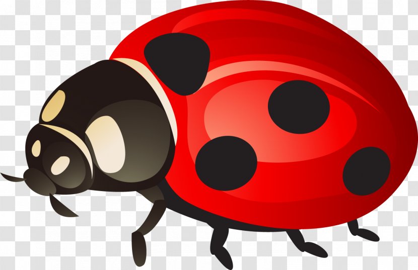 Ladybird Beetle Clip Art - Invertebrate - Painted Red Ladybug Transparent PNG