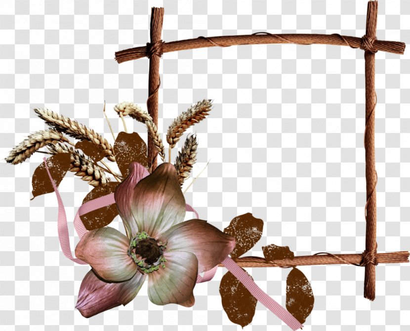 Clip Art Image Illustration Design - Picture Frames - Flower Transparent PNG