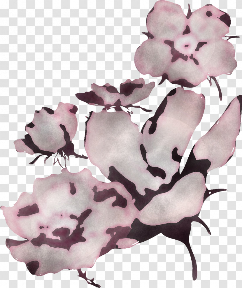 Pink Flower Plant Petal Herbaceous Plant Transparent PNG