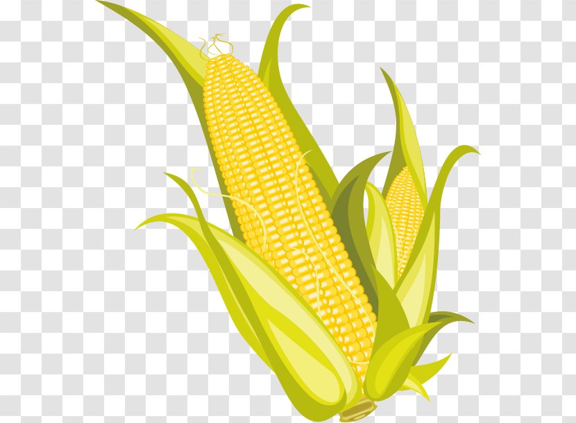 Corn On The Cob Flakes Popcorn Maize - Fruit - And Image Transparent PNG