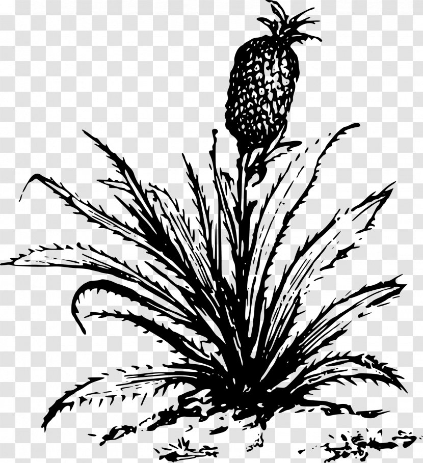 Pineapple Growing Clip Art - Flower - Pinapple Transparent PNG