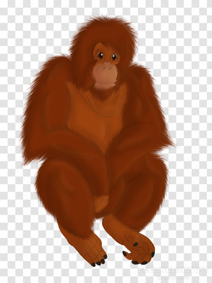 Gorilla Primate Vertebrate Monkey Mammal - Orangutan Transparent PNG