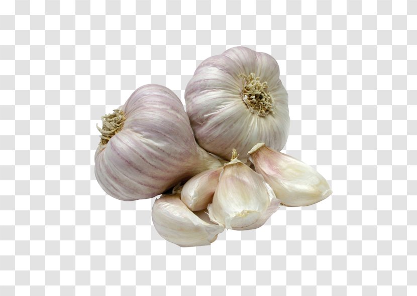 Garlic Onion Food Wholesale Spice - Drink Transparent PNG