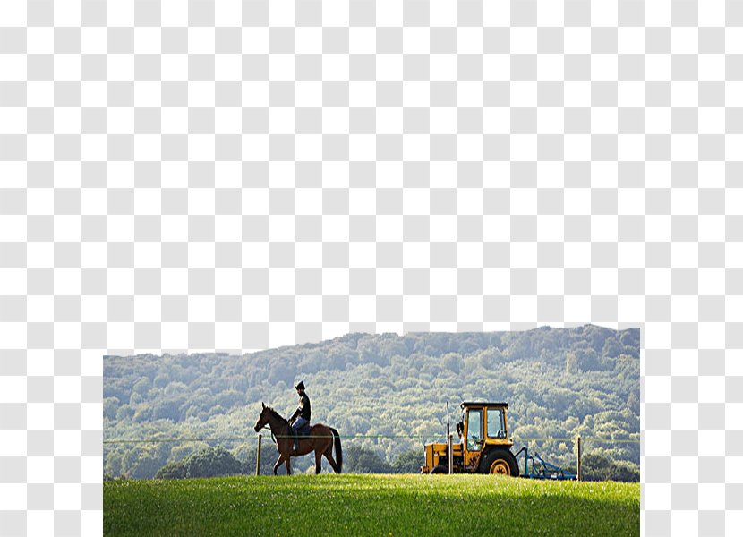 Tractor Equestrianism - Pasture - Man On Horseback Transparent PNG