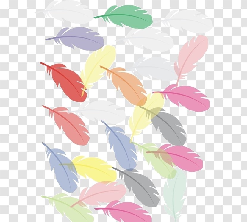 Bird Feather Clip Art - Drawing - Color Feathers Creative Transparent PNG